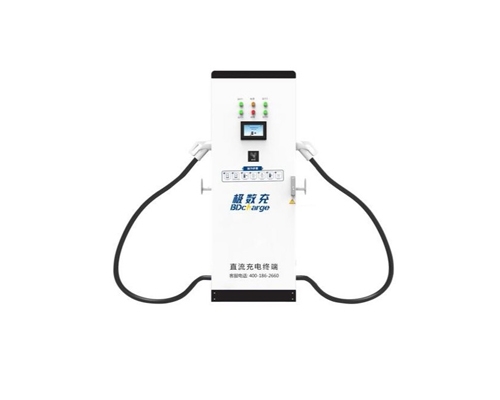 楚雄240KW直流双枪充电桩